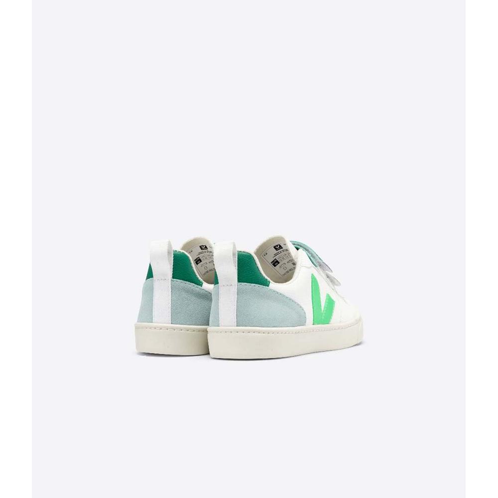 Zapatos Veja V-10 CHROMEFREE Niños White/Green | MX 741MQZ